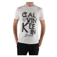 T-shirt pour homme CALVIN KLEIN à 29€ au lien de 39€cagnes sur mer. Du 13 juillet au 13 août 2015 à CAGNES SUR MER. Alpes-Maritimes.  12H00